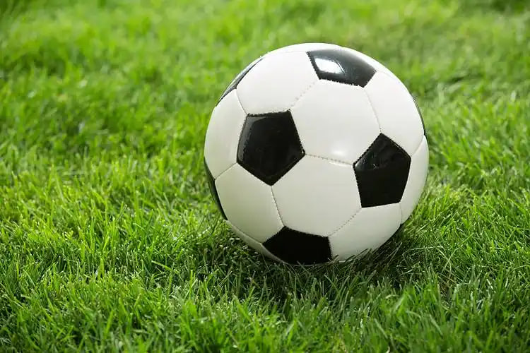 竞彩足球开奖结果公布5002二维码下载